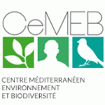 logo_cemeb